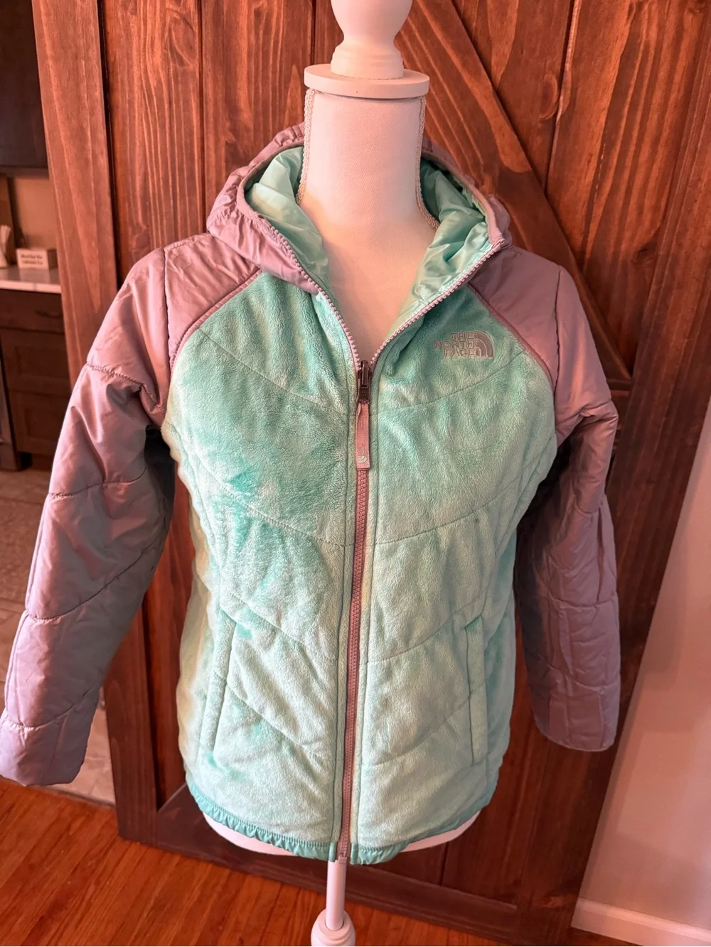 The North Face Mint Hooded Lightweight Jacket